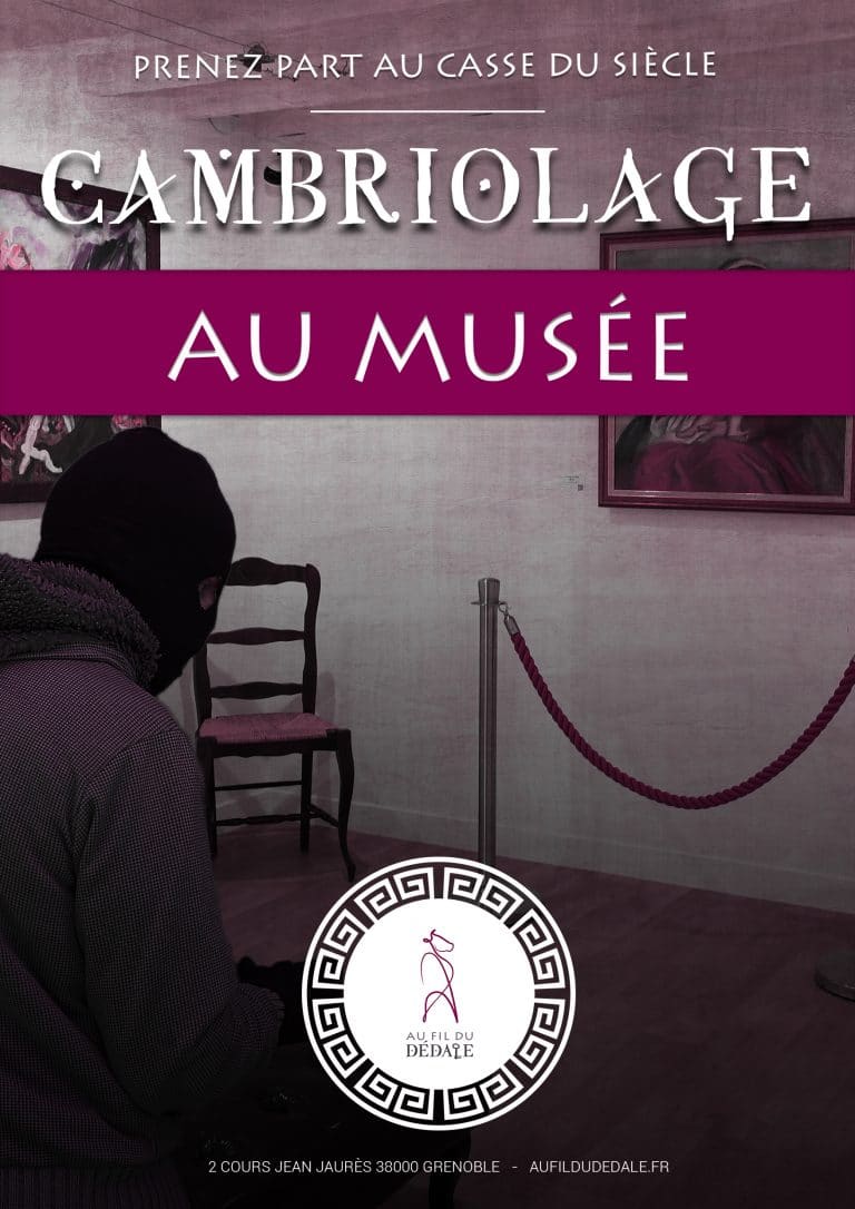 Affiche Cambriolage au musée